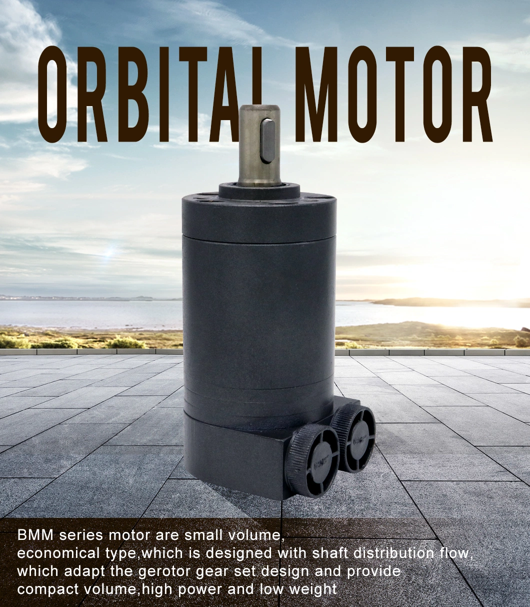 High Speed Gear Motor Omm Bmm Oml Mini Orbit Hydraulic Motor